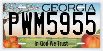 GA license plate PWM5955