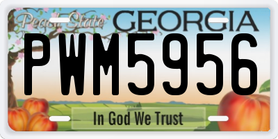 GA license plate PWM5956