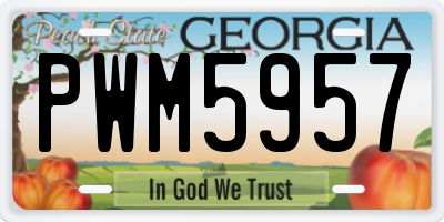 GA license plate PWM5957