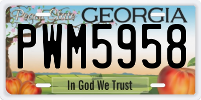 GA license plate PWM5958