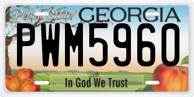 GA license plate PWM5960