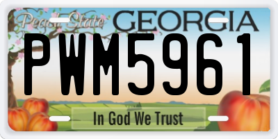GA license plate PWM5961