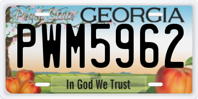 GA license plate PWM5962