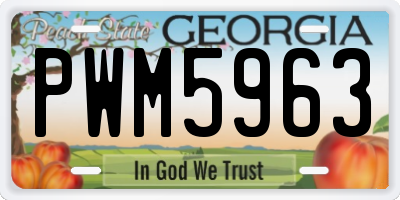 GA license plate PWM5963