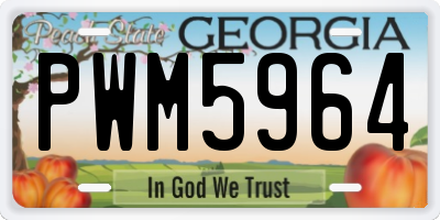 GA license plate PWM5964