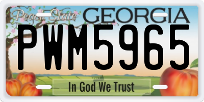 GA license plate PWM5965