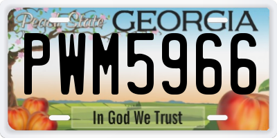 GA license plate PWM5966