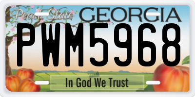 GA license plate PWM5968