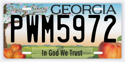 GA license plate PWM5972