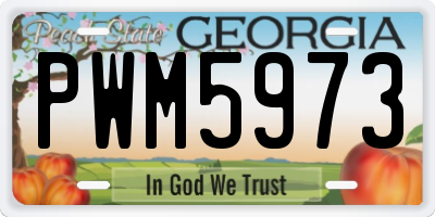 GA license plate PWM5973