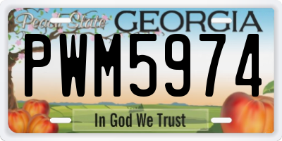 GA license plate PWM5974