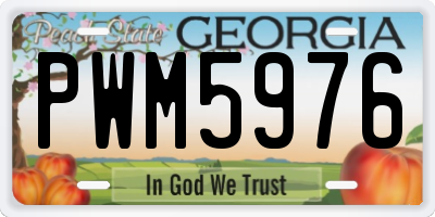 GA license plate PWM5976