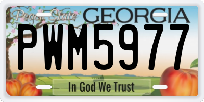 GA license plate PWM5977