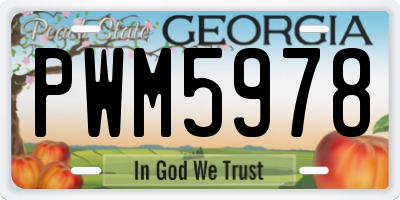 GA license plate PWM5978