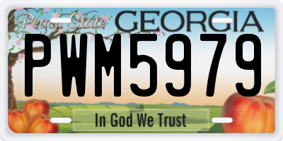 GA license plate PWM5979