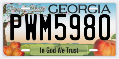 GA license plate PWM5980