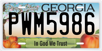 GA license plate PWM5986