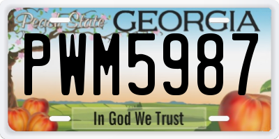 GA license plate PWM5987
