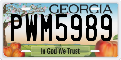 GA license plate PWM5989