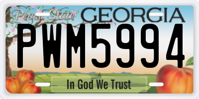 GA license plate PWM5994