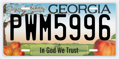 GA license plate PWM5996