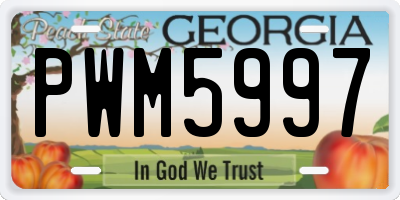 GA license plate PWM5997