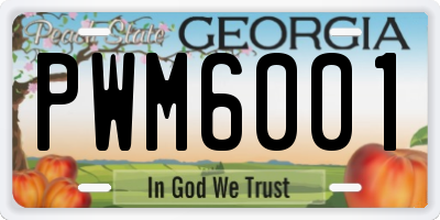 GA license plate PWM6001