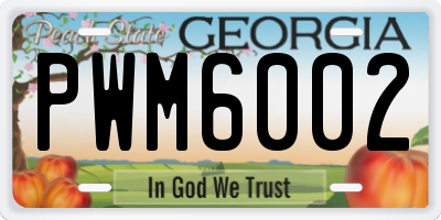 GA license plate PWM6002