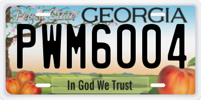 GA license plate PWM6004