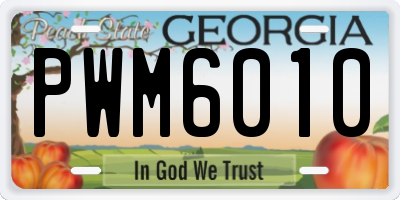 GA license plate PWM6010