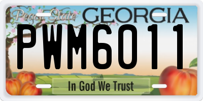 GA license plate PWM6011