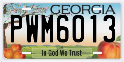 GA license plate PWM6013