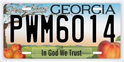 GA license plate PWM6014