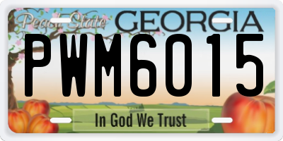 GA license plate PWM6015