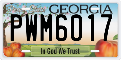 GA license plate PWM6017
