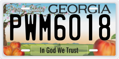 GA license plate PWM6018