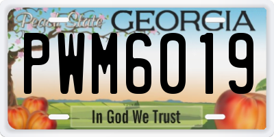 GA license plate PWM6019