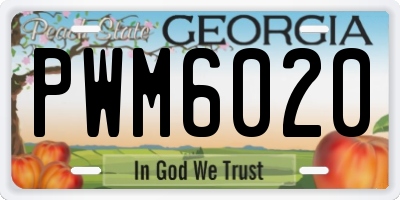 GA license plate PWM6020