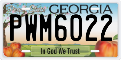 GA license plate PWM6022