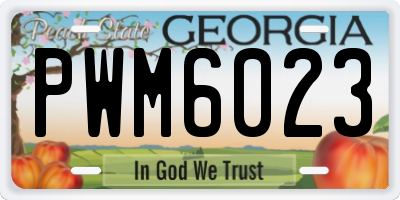 GA license plate PWM6023