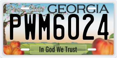 GA license plate PWM6024