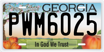 GA license plate PWM6025