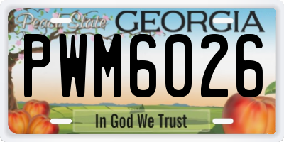 GA license plate PWM6026
