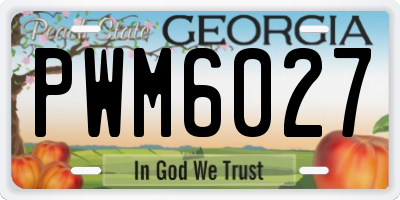 GA license plate PWM6027