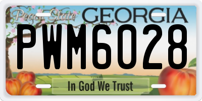 GA license plate PWM6028