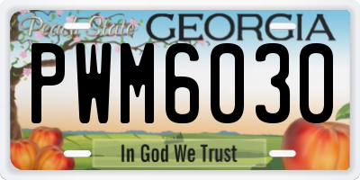 GA license plate PWM6030