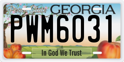 GA license plate PWM6031