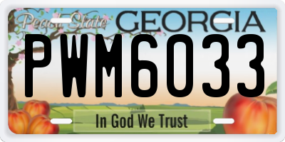 GA license plate PWM6033