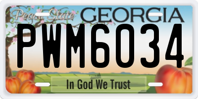 GA license plate PWM6034