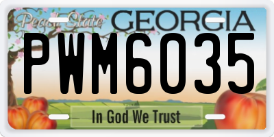 GA license plate PWM6035